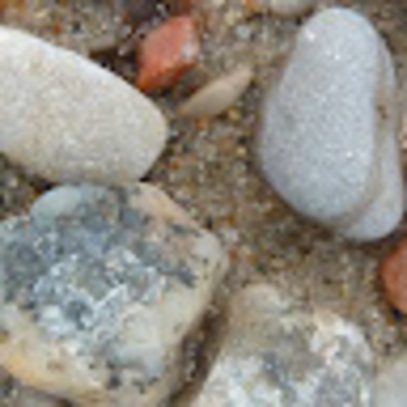 Meet your Posher, T. - Picture 1 of 1